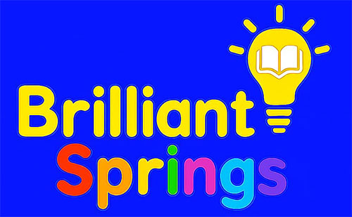 Brilliant Springs